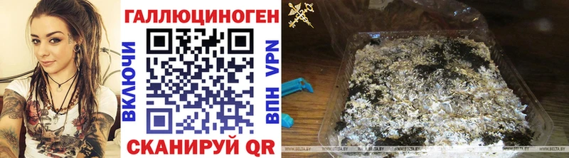 Псилоцибиновые грибы ЛСД  Купить где  Дедовск 